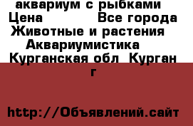 аквариум с рыбками › Цена ­ 1 000 - Все города Животные и растения » Аквариумистика   . Курганская обл.,Курган г.